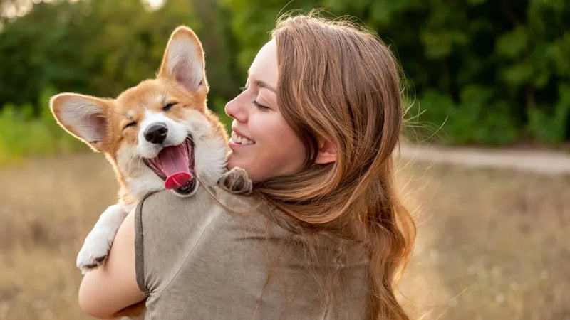 Everything for Your Furry Friends: Quality Pet Supplies