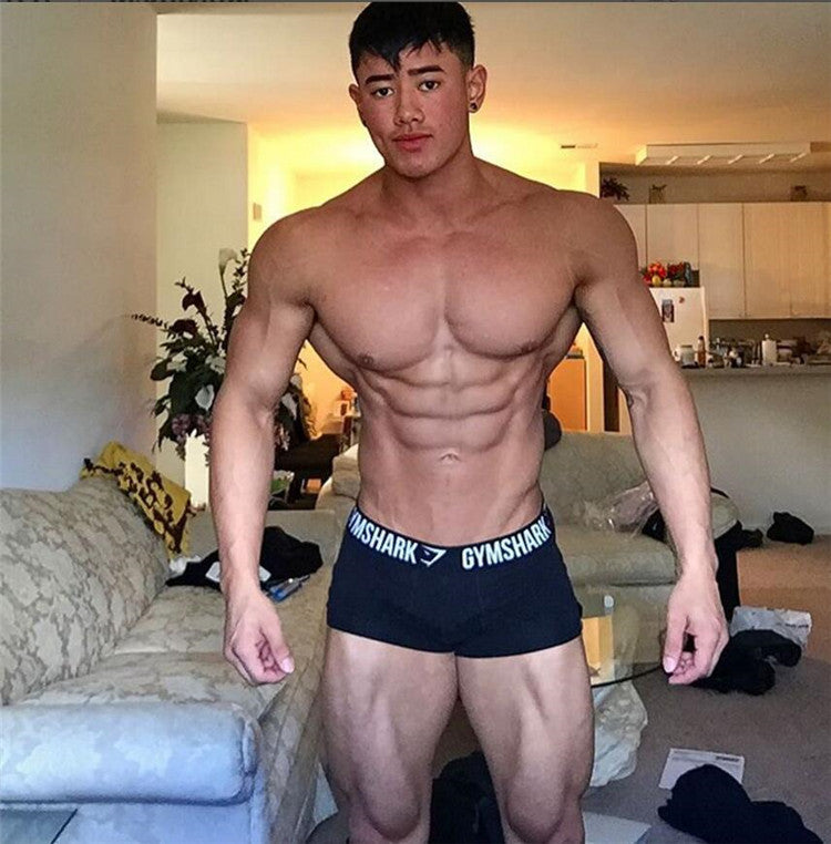 Sport elastic breathable boxer shorts