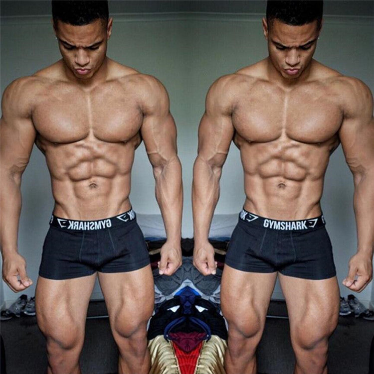 Sport elastic breathable boxer shorts